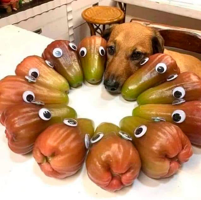 Images-With-No-Context