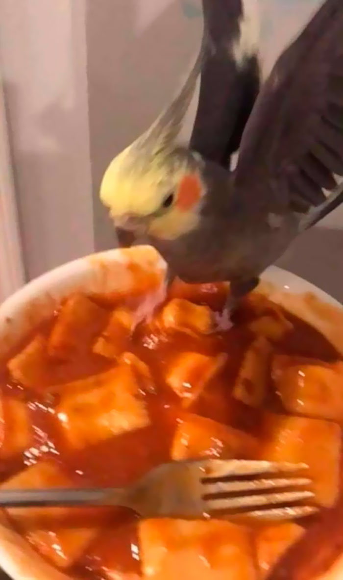 Images-With-No-Context