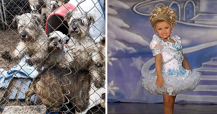 “Everything As A Subscription”: People List 35 Industries They Want To See Disappear In 10 Years