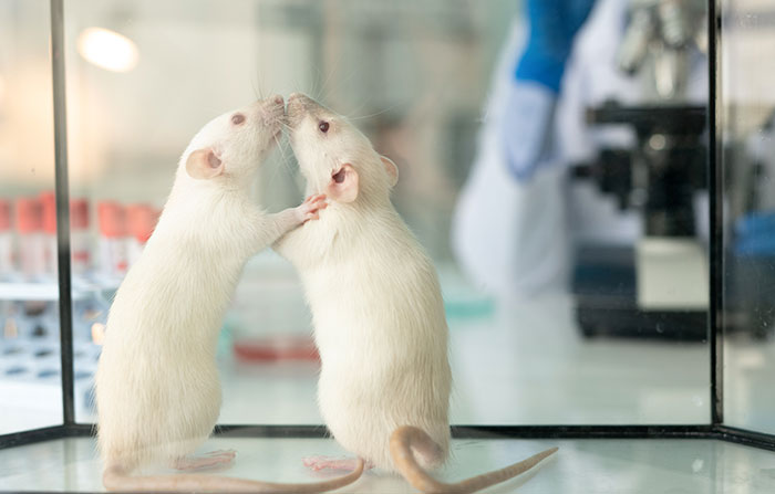 “Everything As A Subscription”: People List 35 Industries They Want To See Disappear In 10 Years