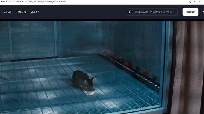 In Stephen King's Cat's Eye (1985) Equipment Is Reflected In The Lower Left Of The Window