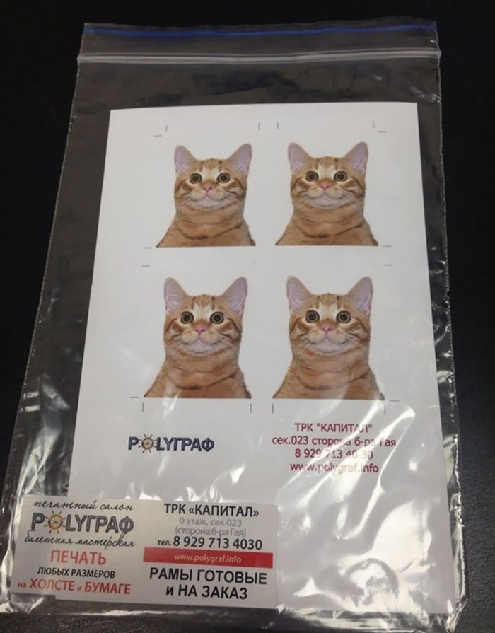 My Sister Works In The Photo Department And That's Who She Was Asked To Photograph For Documents