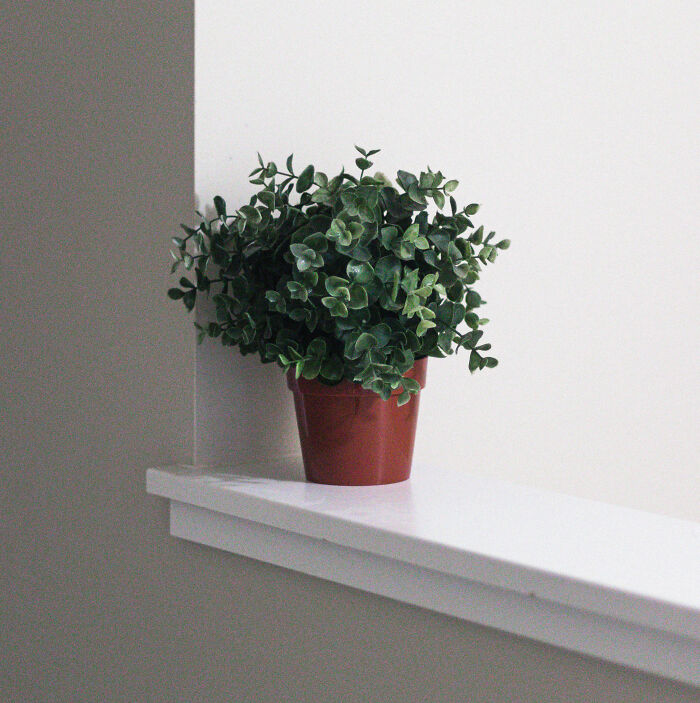 “I Like To Call Them Dust Collectors”: 9 Things This Interior Designer Avoids In Both His And His Client’s Homes