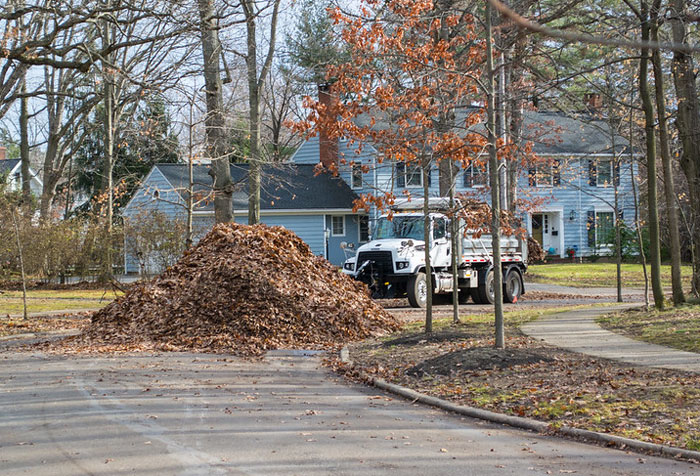 Man Buys The Rights To His Neighbors' Leaves To Mess With Leaf Collection Company's Ridiculous Rules By Building A Giant Pile Man Buys The Rights To His Neighbors' Leaves To Mess With Leaf Collection Company's Ridiculous Rules By Building A Giant Pile