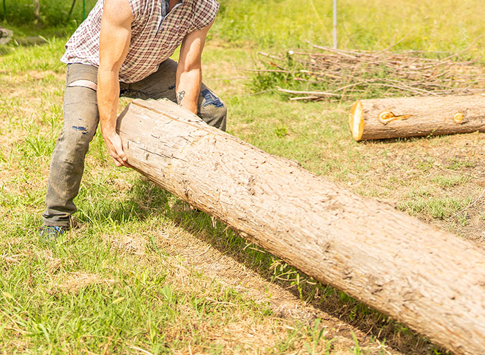 "Hoy aprendí": 25 Datos interesantes sobre el mundo que quizá no sabías