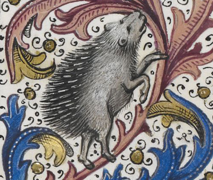 “Today I Learned”: 30 Interesting Things About The World That People Didn’t Know Until Recently (New Pics)