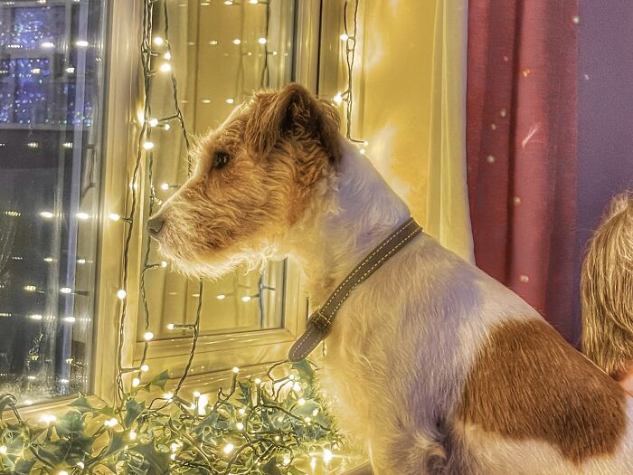 Waiting For Christmas