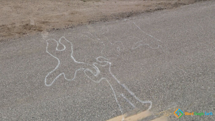 "Outlines On The Road". Location: Spring Valley, Saskatchewan, Canada
