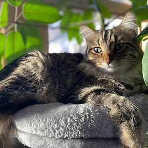 alecdrymalski avatar