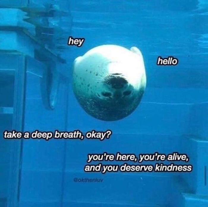 Mentally-Not-So-Well-Memes