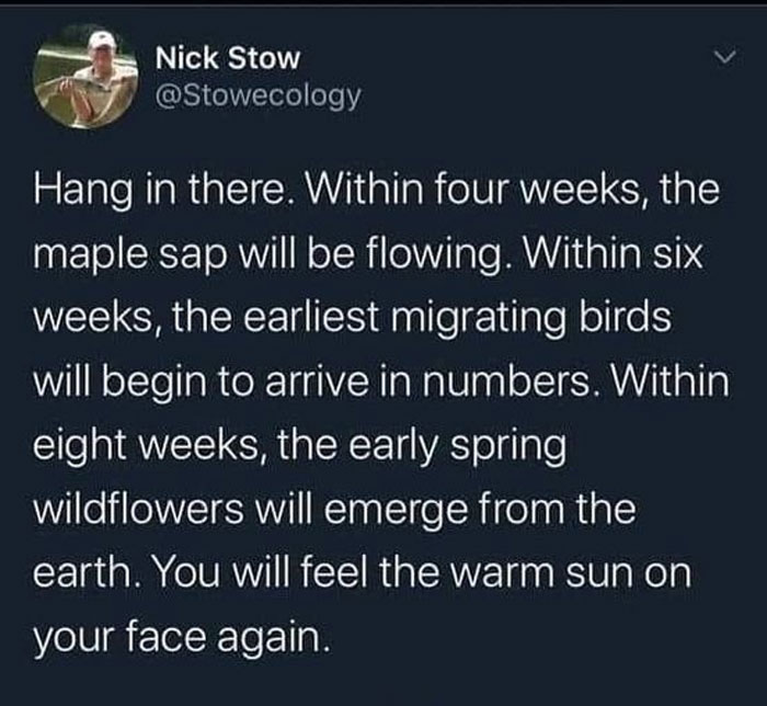 Mentally-Not-So-Well-Memes