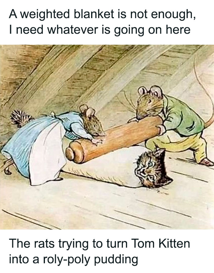 Mentally-Not-So-Well-Memes