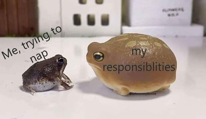 Mentally-Not-So-Well-Memes