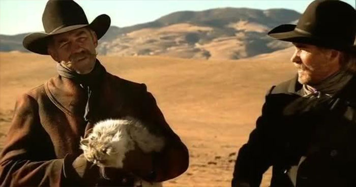 EDS, an HP Company – Cat Herders (2000)