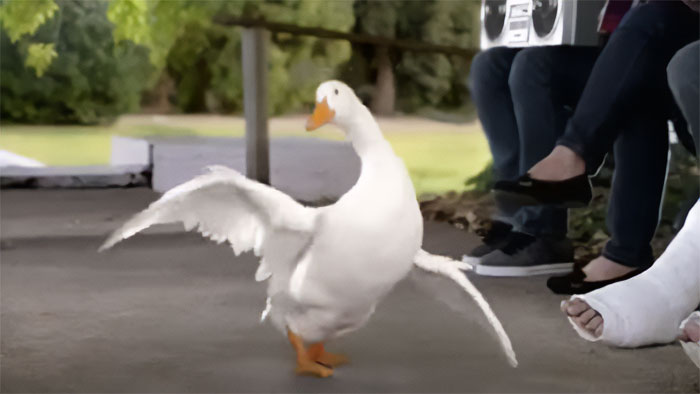 Aflac – Dancing Duck (2011)
