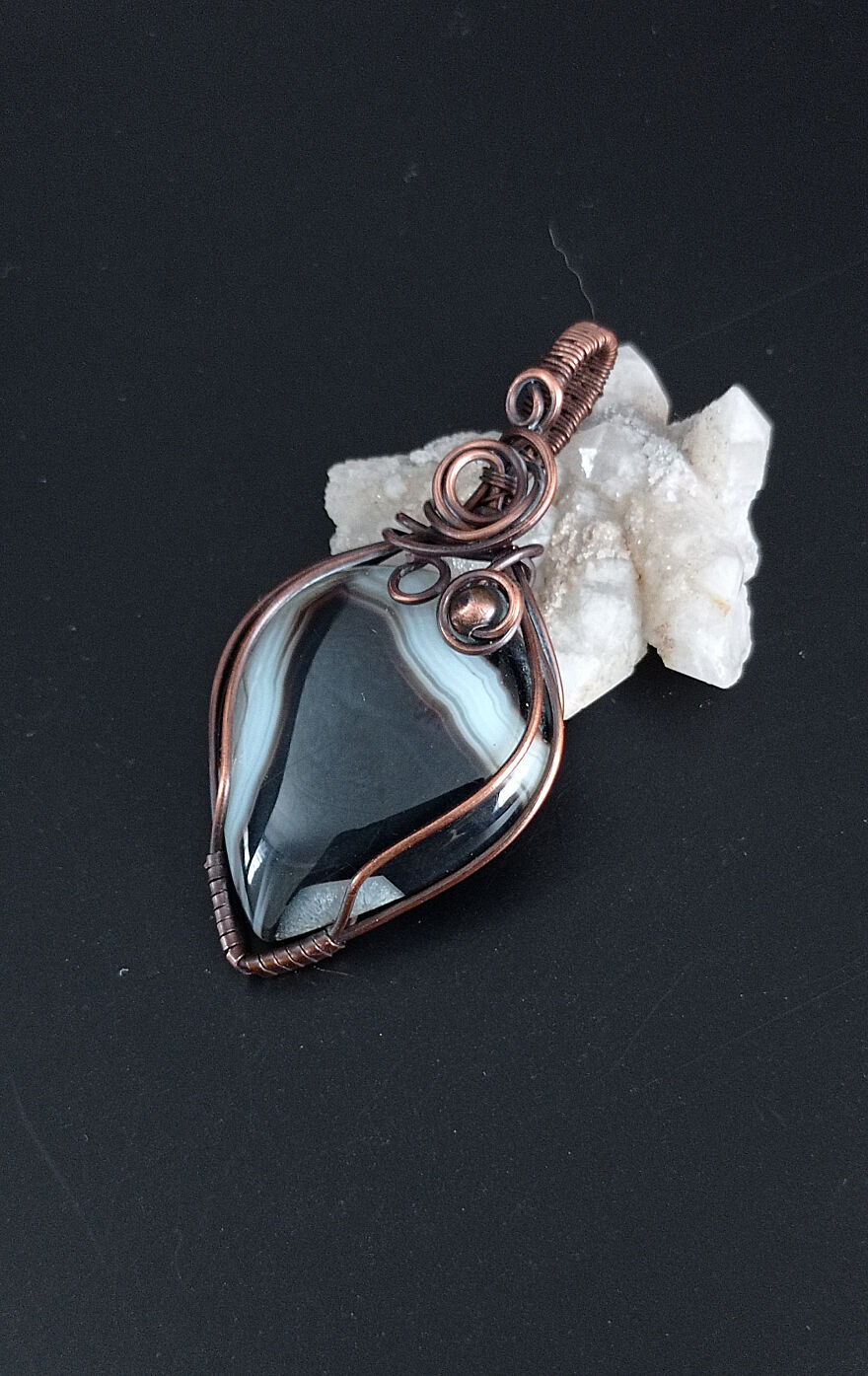 After 24 Hours, I Realized That They Are Alive!