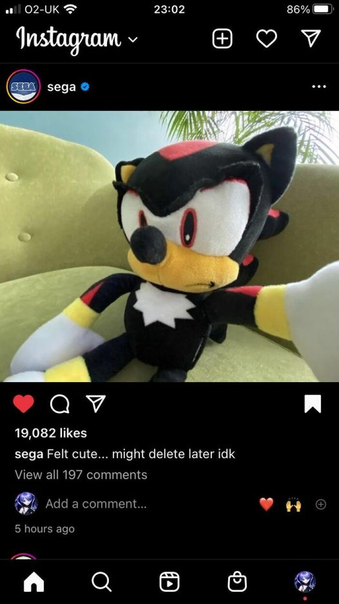 Official-Social-Media-Accounts-Weird-Stuff