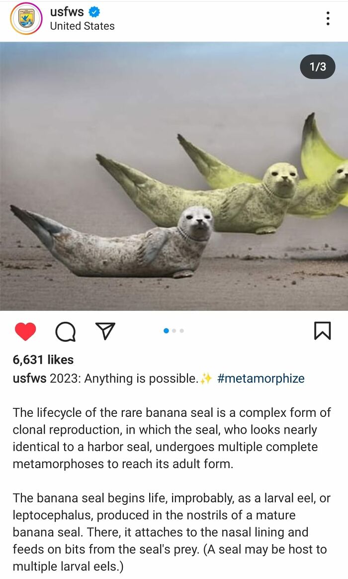 Official-Social-Media-Accounts-Weird-Stuff