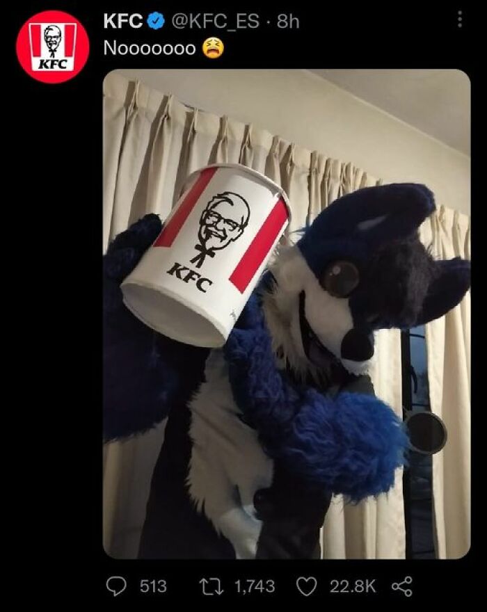 Official-Social-Media-Accounts-Weird-Stuff