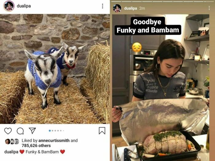 Official-Social-Media-Accounts-Weird-Stuff