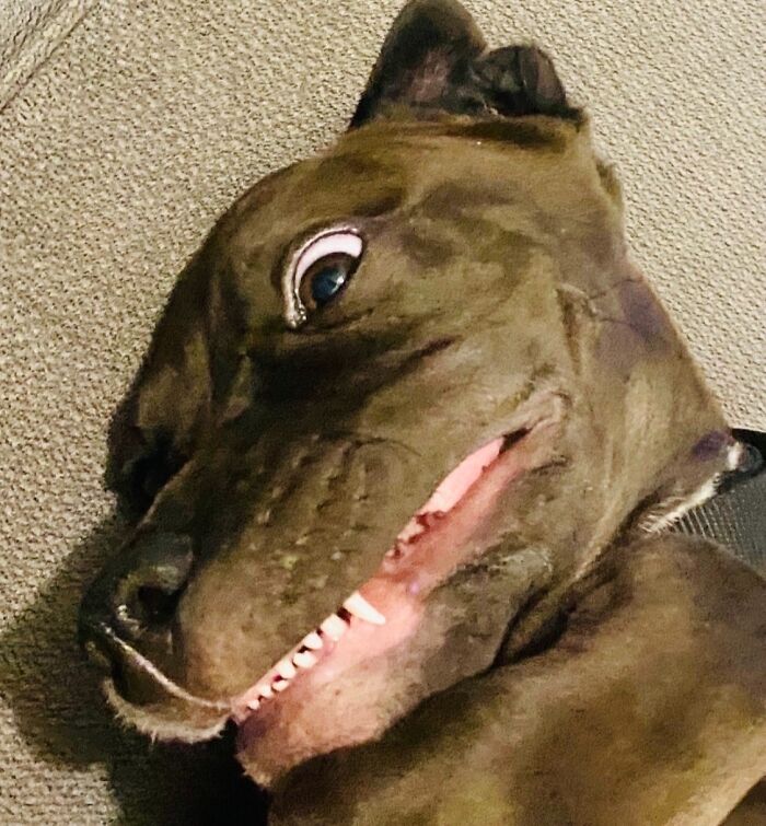 25 Images That I Found Clearing My Drive