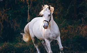20 Historias sobre personas adineradas que muestran su desconexión con la realidad