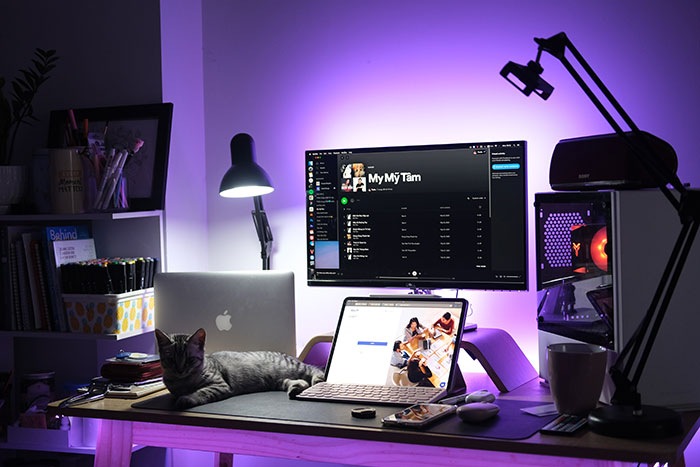 Room with computer setup and cat lying on the table