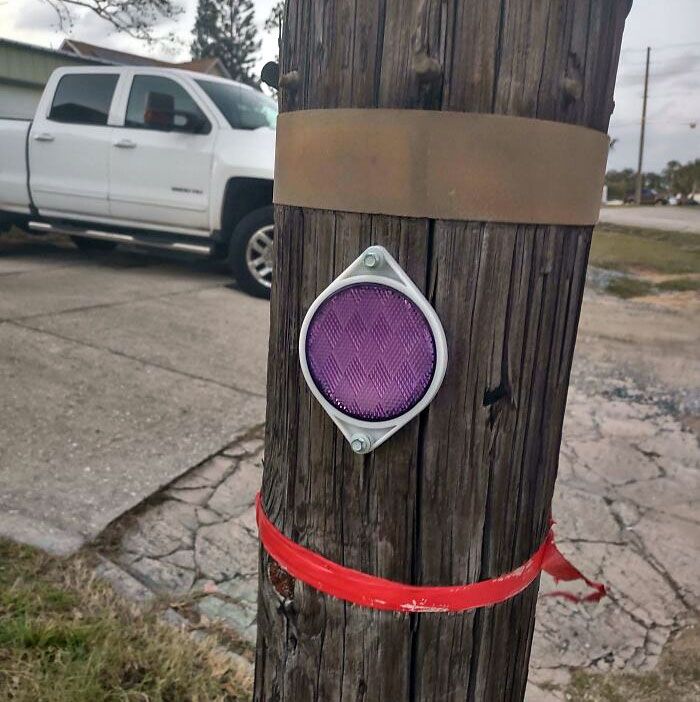 Purple Reflector