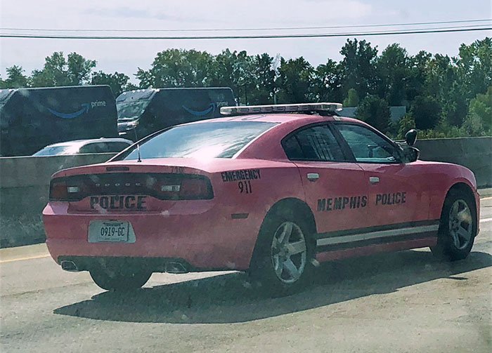 Pink Police Car