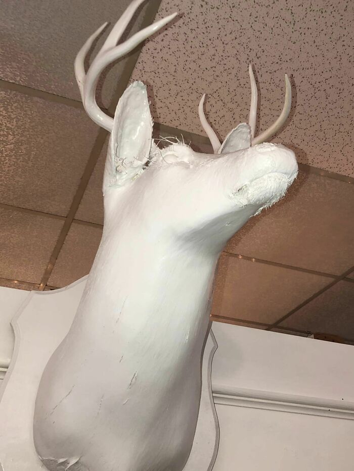 Went To An “Antique” Store Today. You Know The Kind I Mean. Everything Was Upcycled. Everything Was Whitewashed. And I Do Mean *everything*