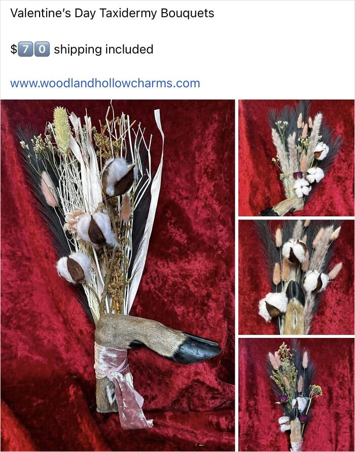 Modern Farmhouse Taxidermy?