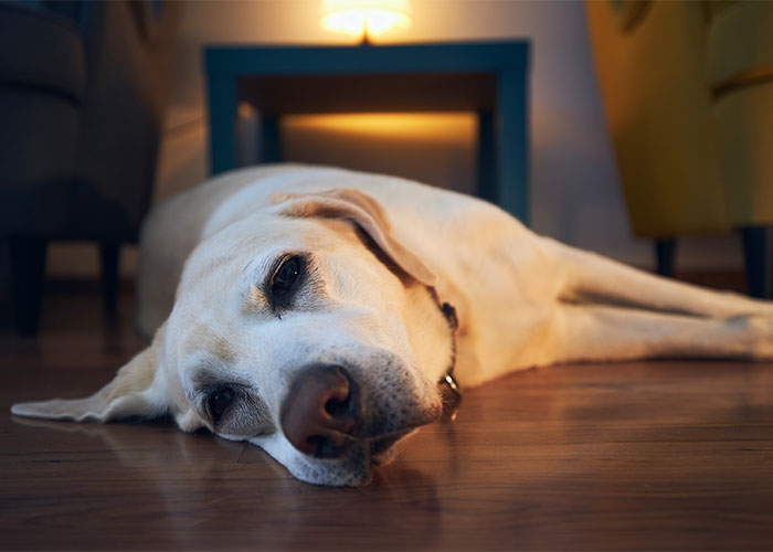 “Some Bells Can’t Be Unrung”: People Share 40 Hard Truths That May Be Hard To Swallow