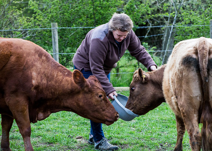 “Some Bells Can’t Be Unrung”: People Share 40 Hard Truths That May Be Hard To Swallow