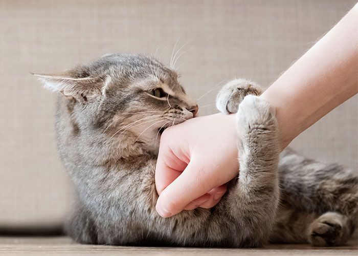 “Some Bells Can’t Be Unrung”: People Share 40 Hard Truths That May Be Hard To Swallow