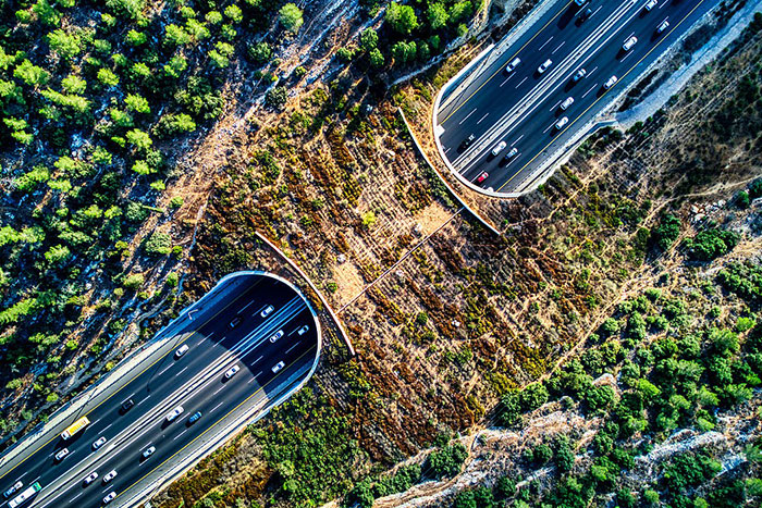 ¿Cuál es el dato más reconfortante que conoces?: Aquí hay 30 respuestas que mejorarán tu día