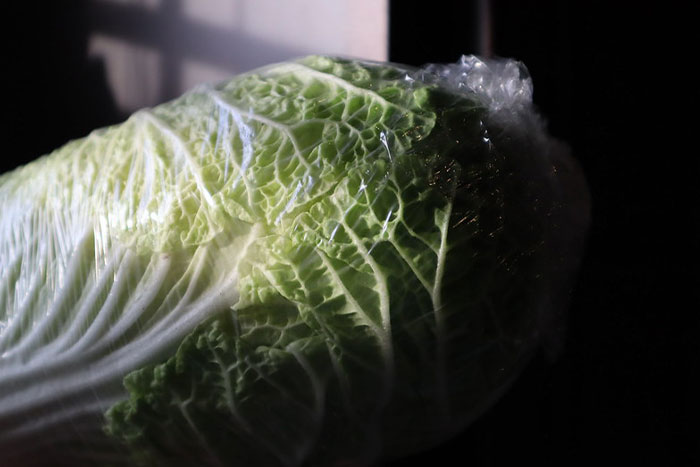 50 Wholesome Facts That Might Bring Some Sunshine To Your Day