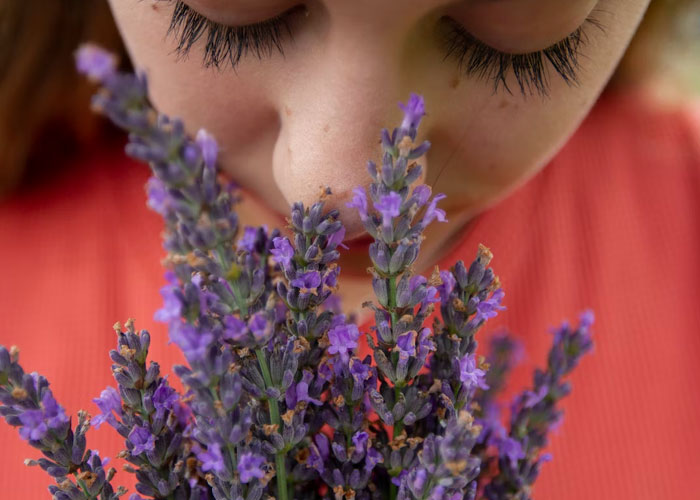 30 Creepy Facts Not For The Fainthearted, As Shared On This Online Thread