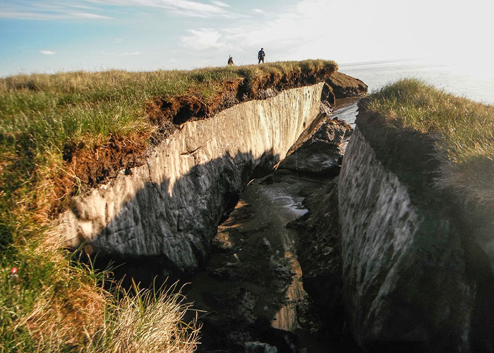 30 Creepy Facts Not For The Fainthearted, As Shared On This Online Thread