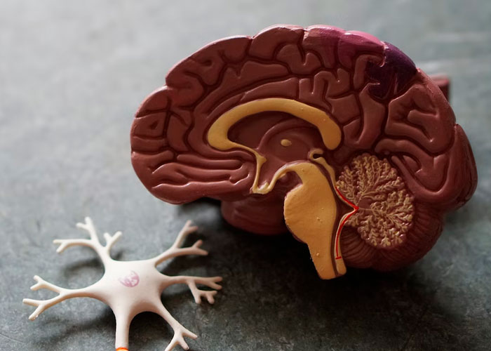 30 Creepy Facts Not For The Fainthearted, As Shared On This Online Thread