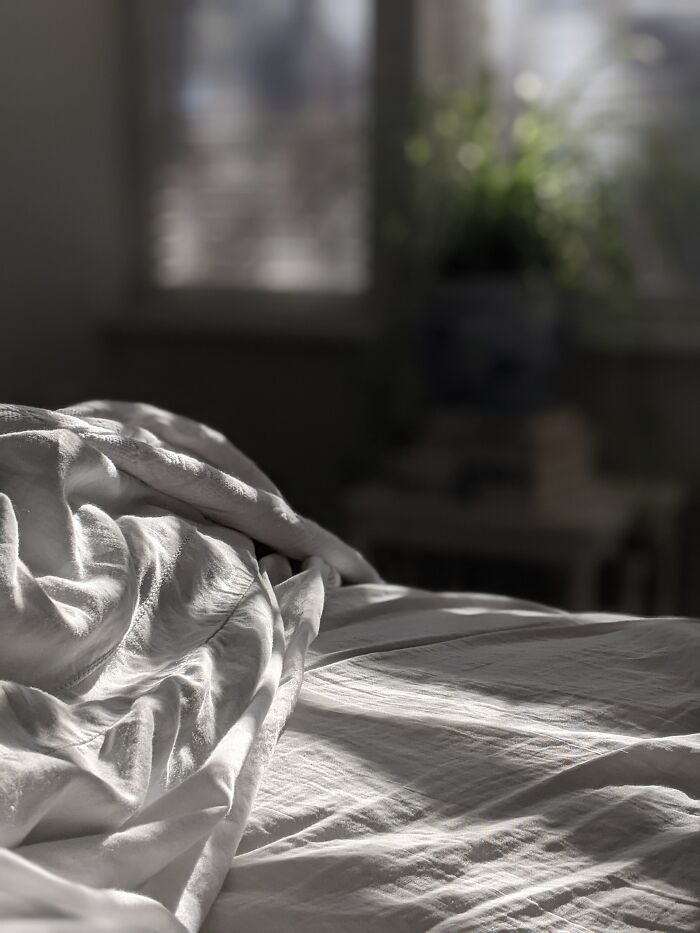 Sunlight falls on rumpled white bed sheets in a softly lit bedroom, evoking a sense of intimacy and juicy gossip.