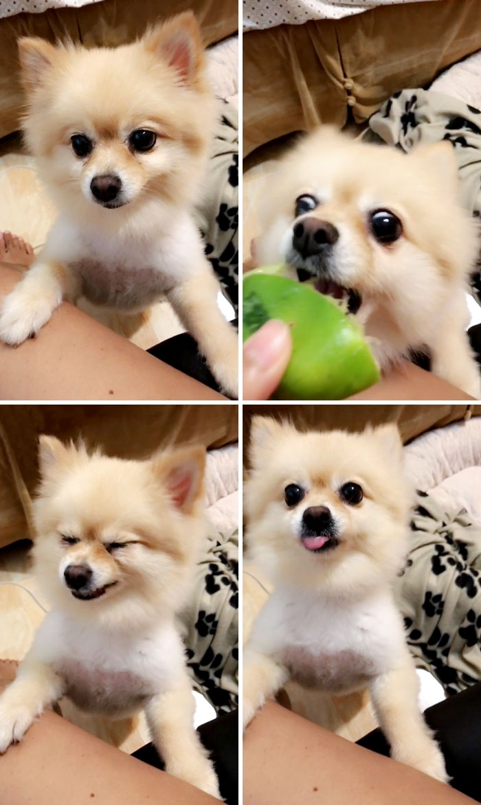 Mimi probó la lima por primera vez 