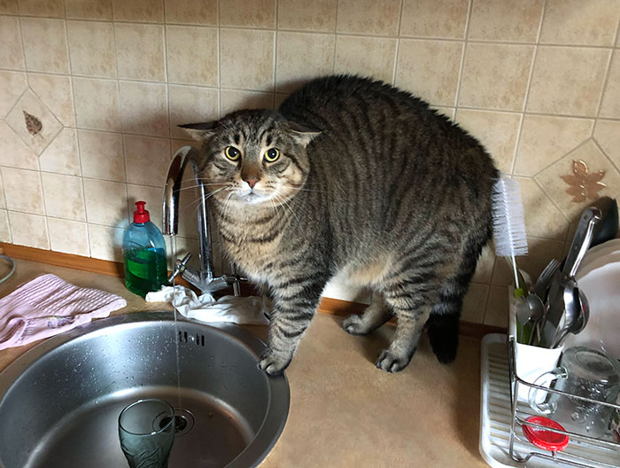 Me vio con sombrero por primera vez 