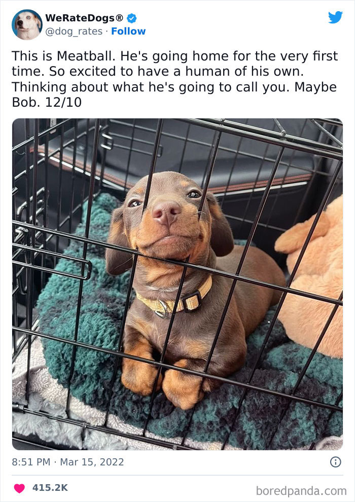 Look At That Contented Smile And Those Lovely Eyes 