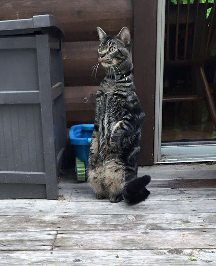 Su primera vez afuera 