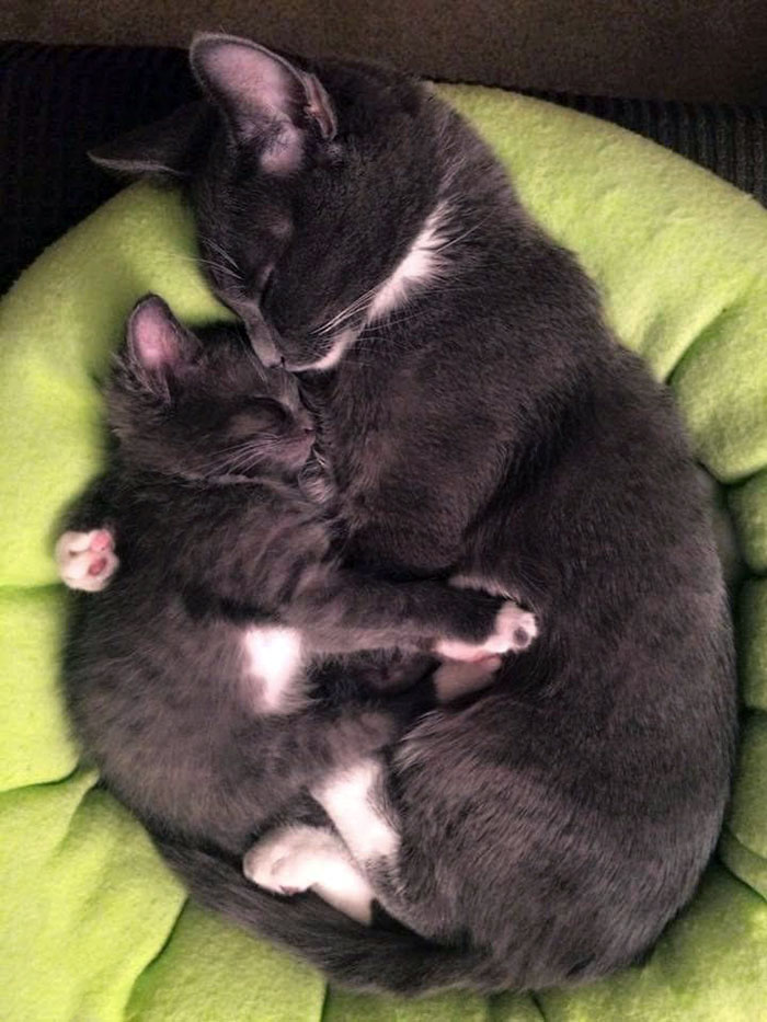 Dos hermanos con 5 meses de diferencia. Se reunieron por primera vez 