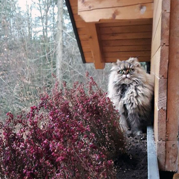 This Is Bibi. It's Her First Time Outside. You Can See By The Look On Her Face That She's Mindblown By How Big The World Is