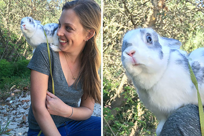 I Took My Bunny To The Beach For The First Time. The Beach May Not Be Her Thing