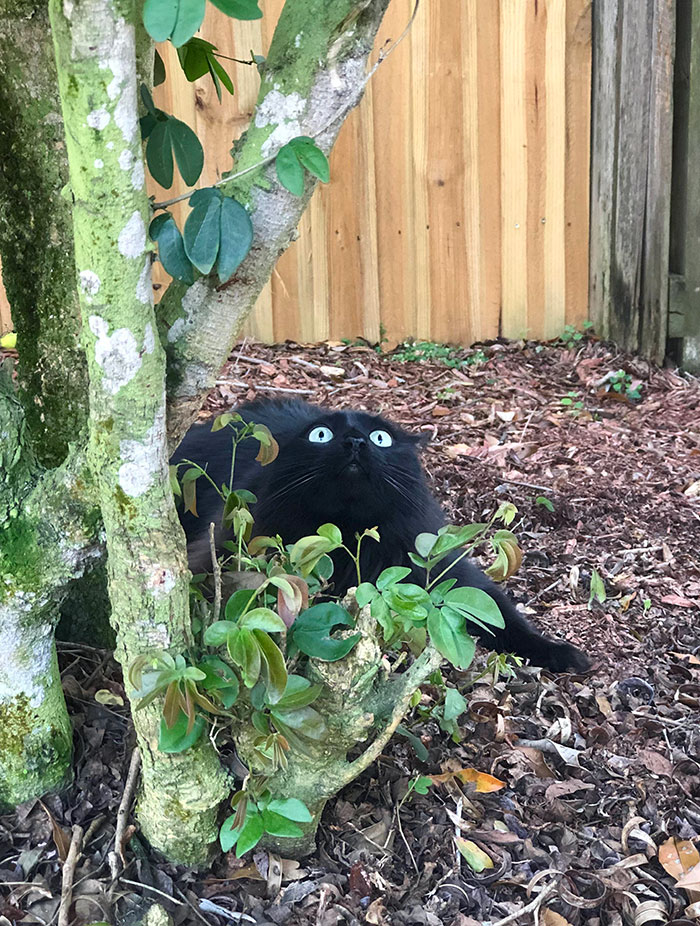 Luna está muy entusiasmada de explorar el exterior por primera vez 