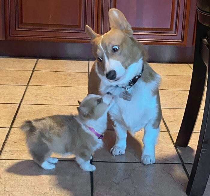 When Toby First Met Mia