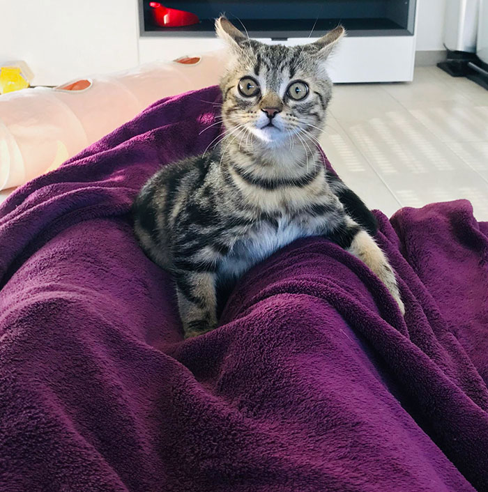  Me escuchó estornudar por primera vez 